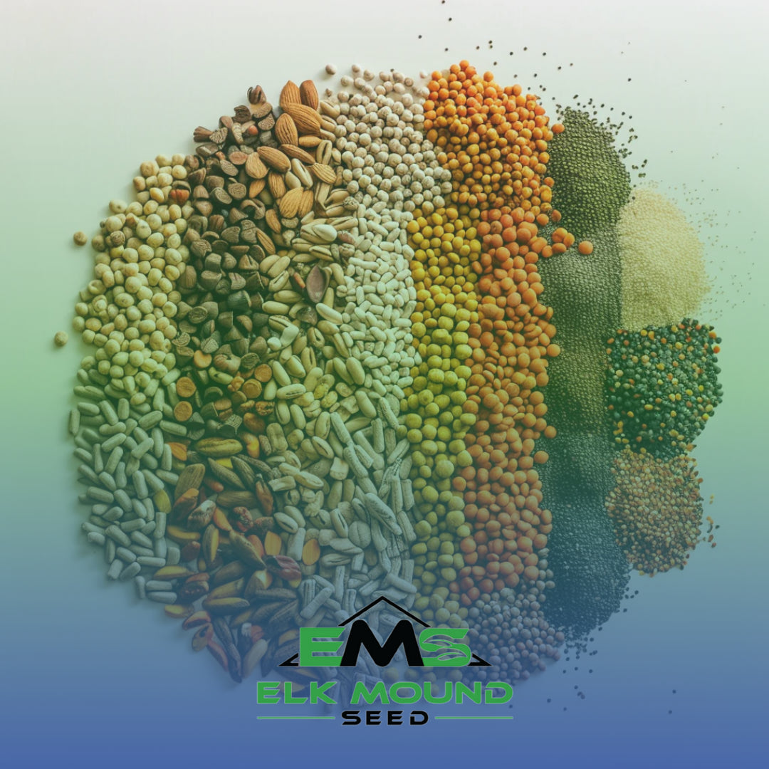 animal feed seed in a pile