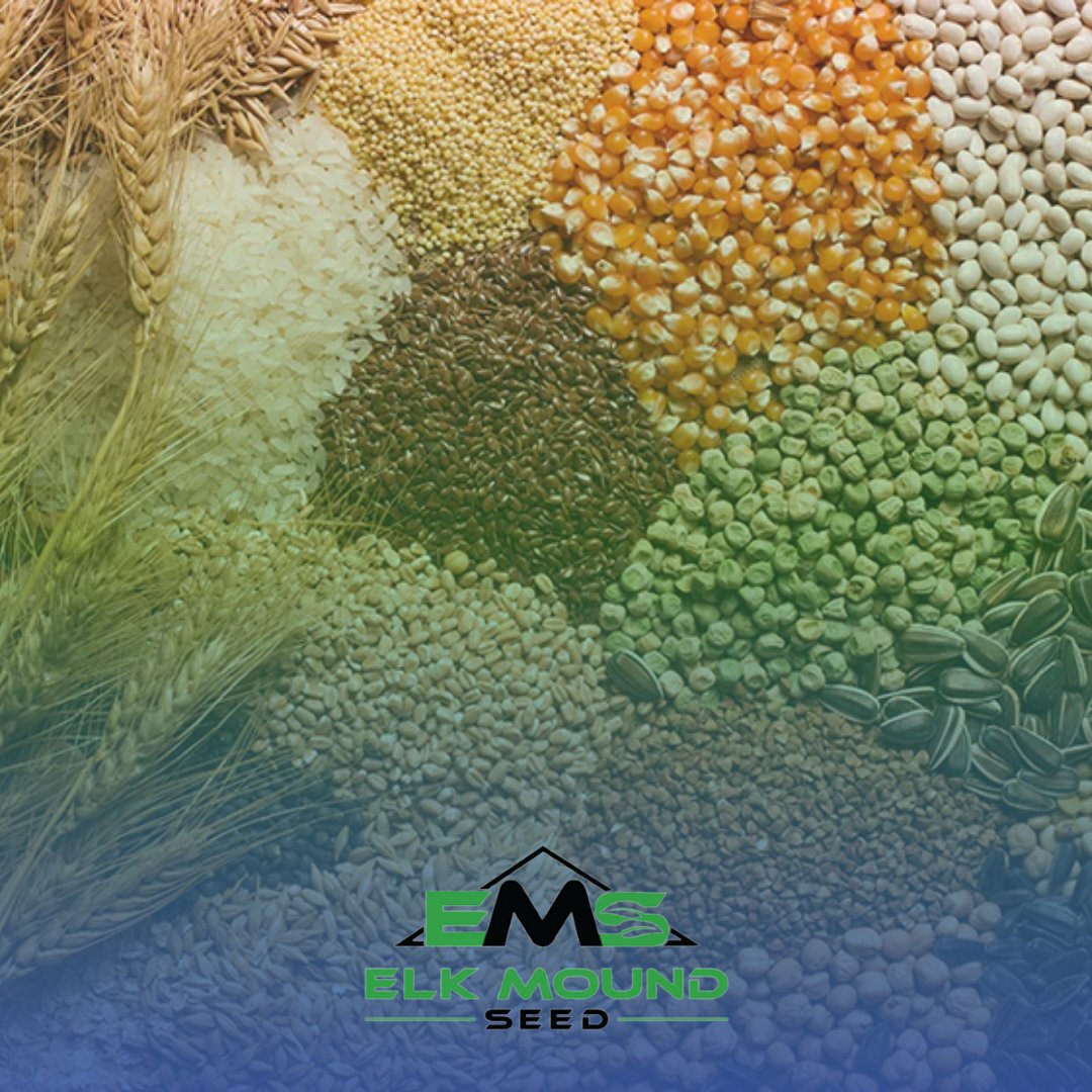 farm seed in a pile