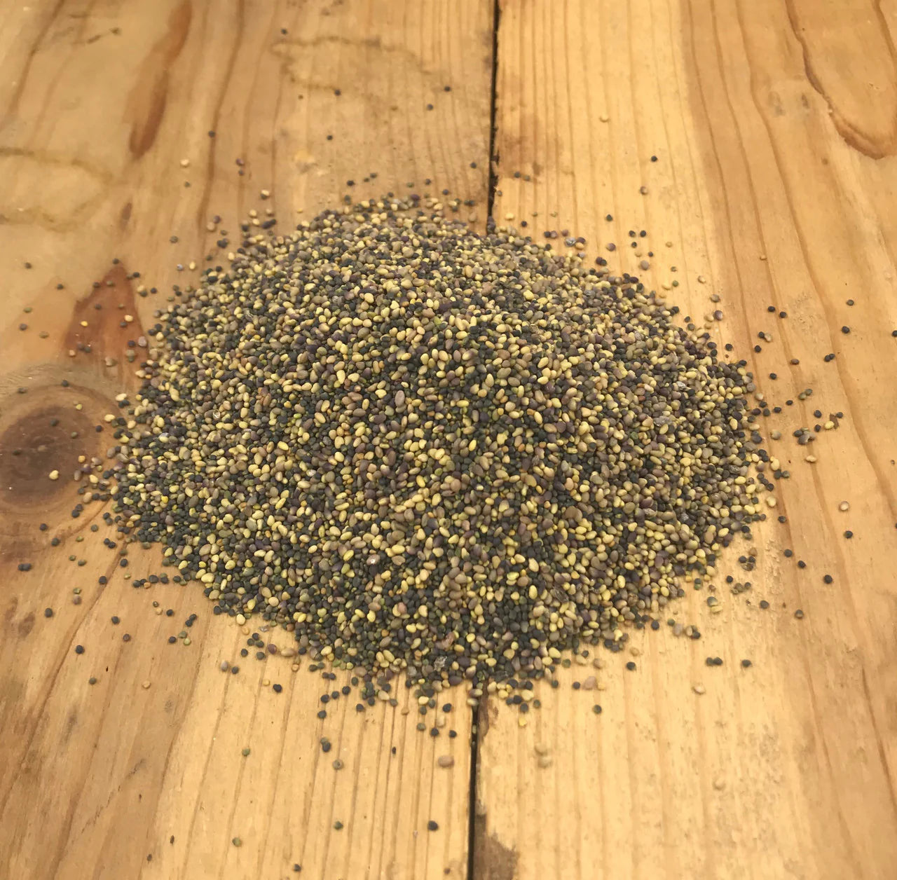 clover, food plot, red clover, white clover, perennial, clover, deer ... Clover seed near me