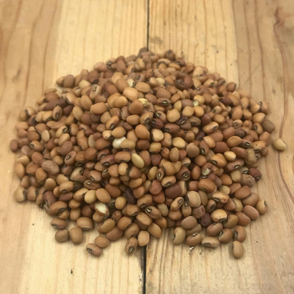 Cow Peas Food Plot Seed
