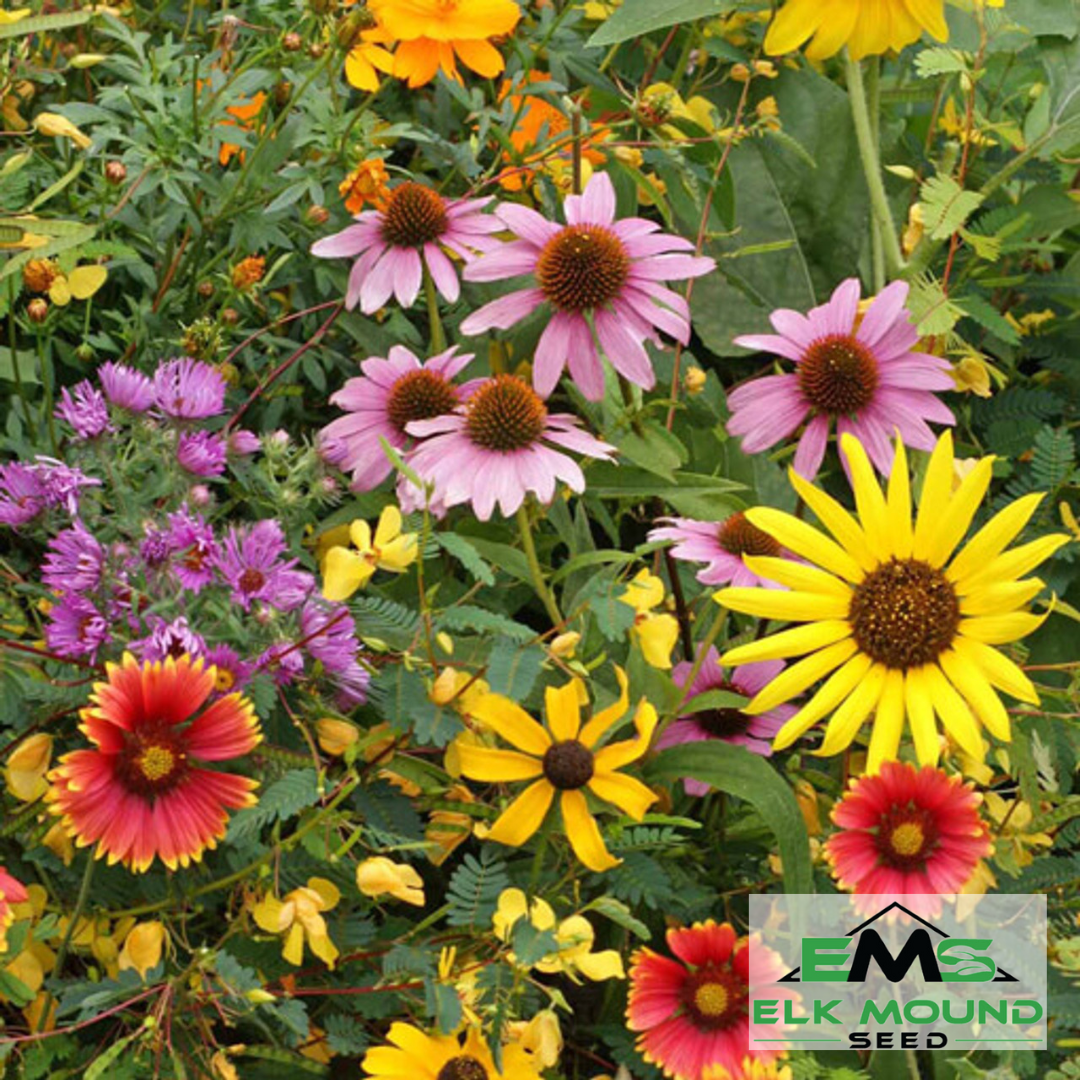 wildflower seed mixture Backyard Bird Lover's Wildflower mix - Annual and Perennial - 1 lb - Buy Non-GMO Open-Pollinated Wildflower Seeds Online