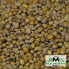 Cherry Belle Radish Seed