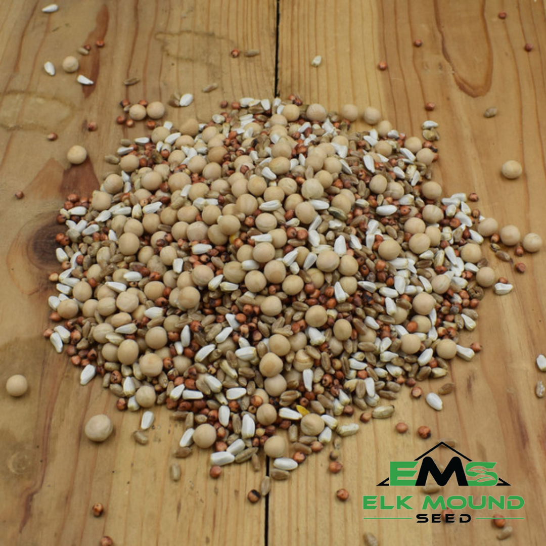 Pigeon Feed No Corn