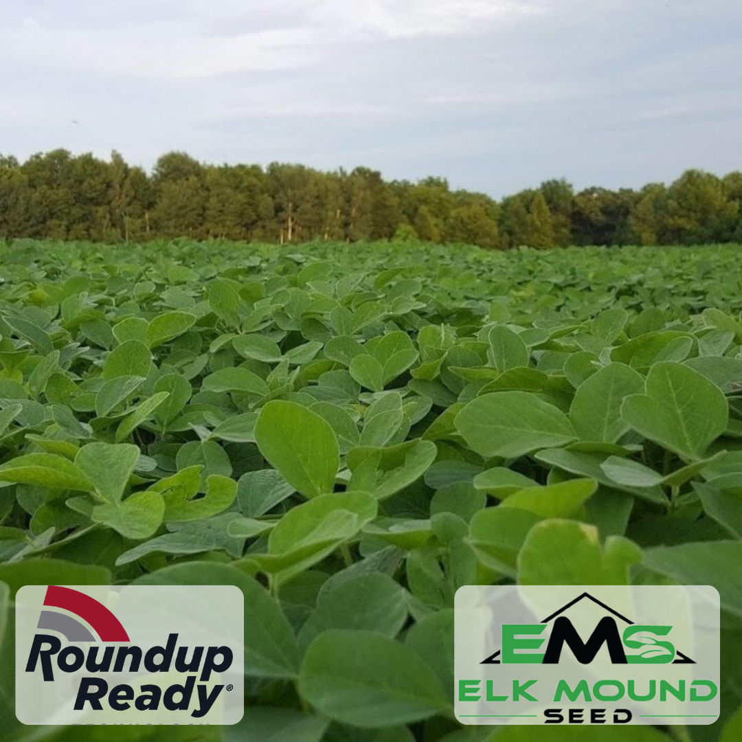 planting seed after roundup Pod Haven GT Soybean Seed