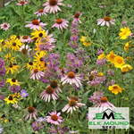 Pollinator Wildflower Seed Mix