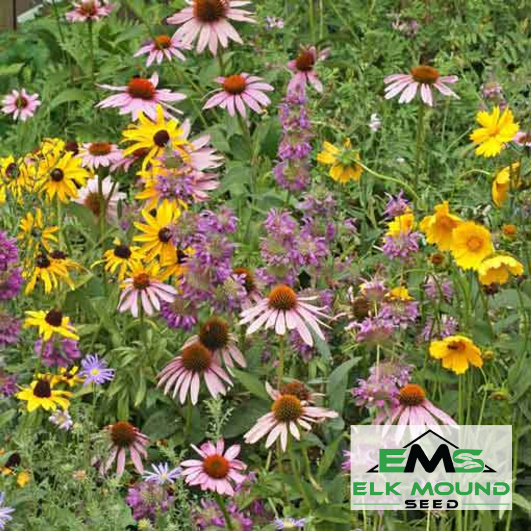 midwest pollinator wildflower seed mix Easter Wildflower Pollinator Seed Mix - 1 lb Bulk - Flowers - Wild Flower Seed Blend