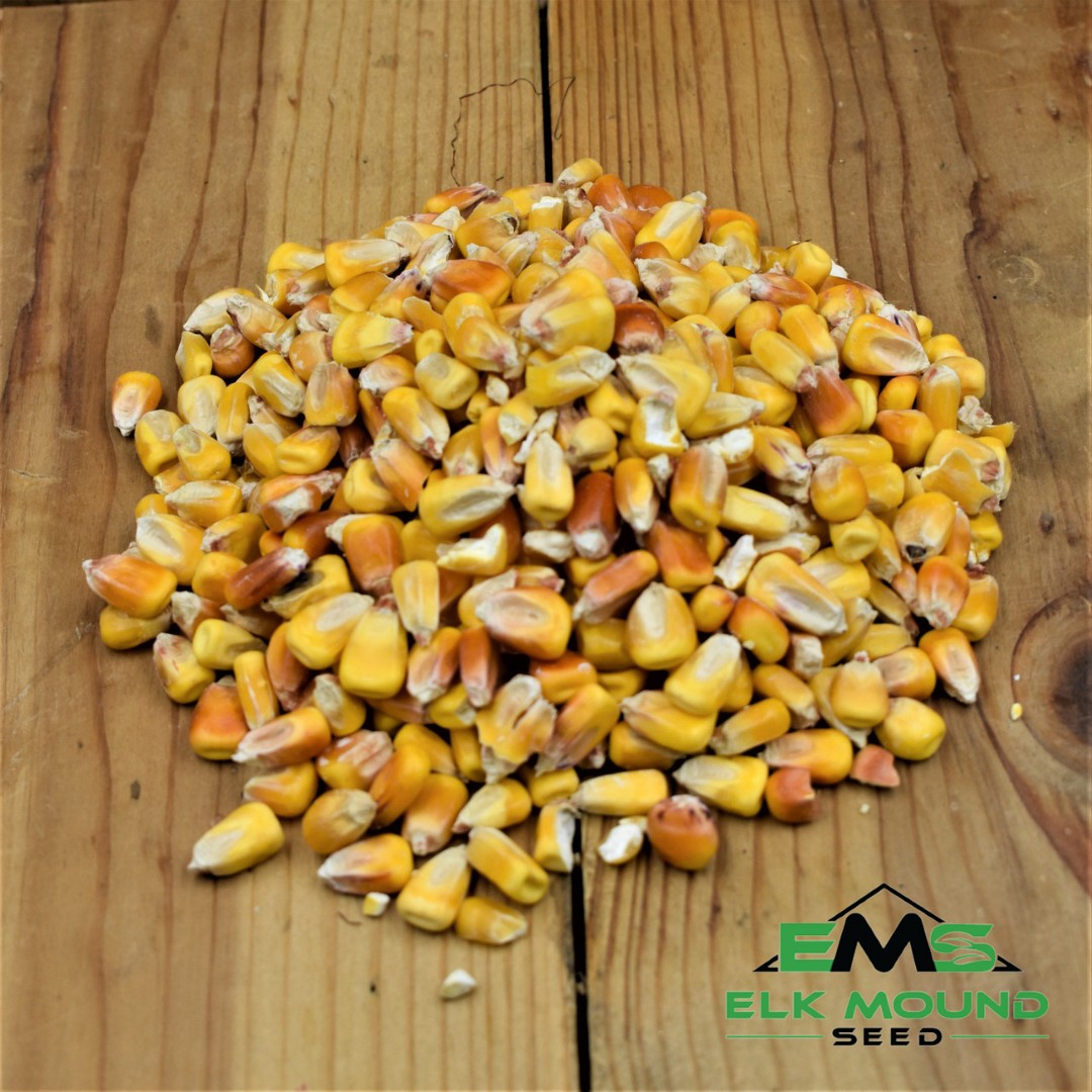 Shell Corn