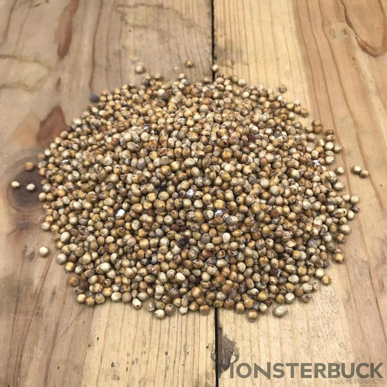 milo seeds for planting Grain Sorghum Seed (A.K.A Red Milo) 50 lb