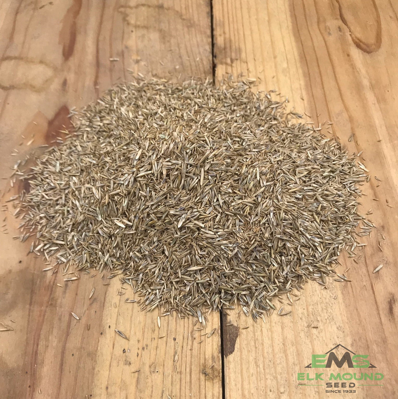 best grass seed to plant for horses Horse Pasture Forage Seed Mix