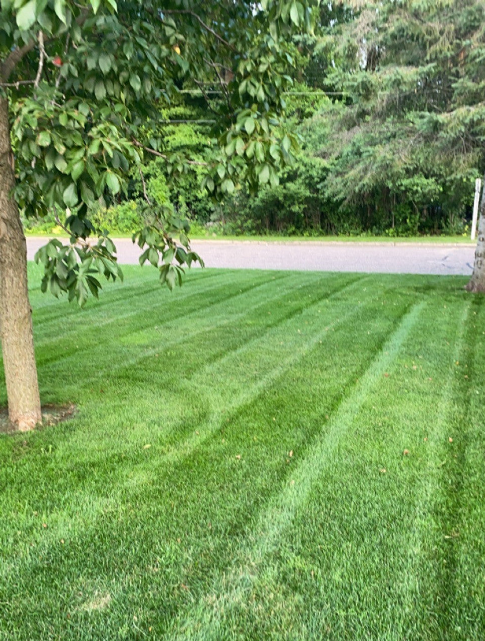 Elite Lawn Mix