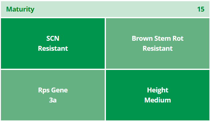 Stine 15EE32 Enlist Soybean