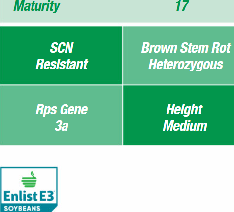 Stine 17EE32 Enlist Soybean
