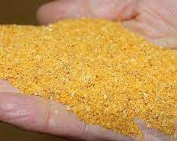 Dried Corn Distillers Grain
