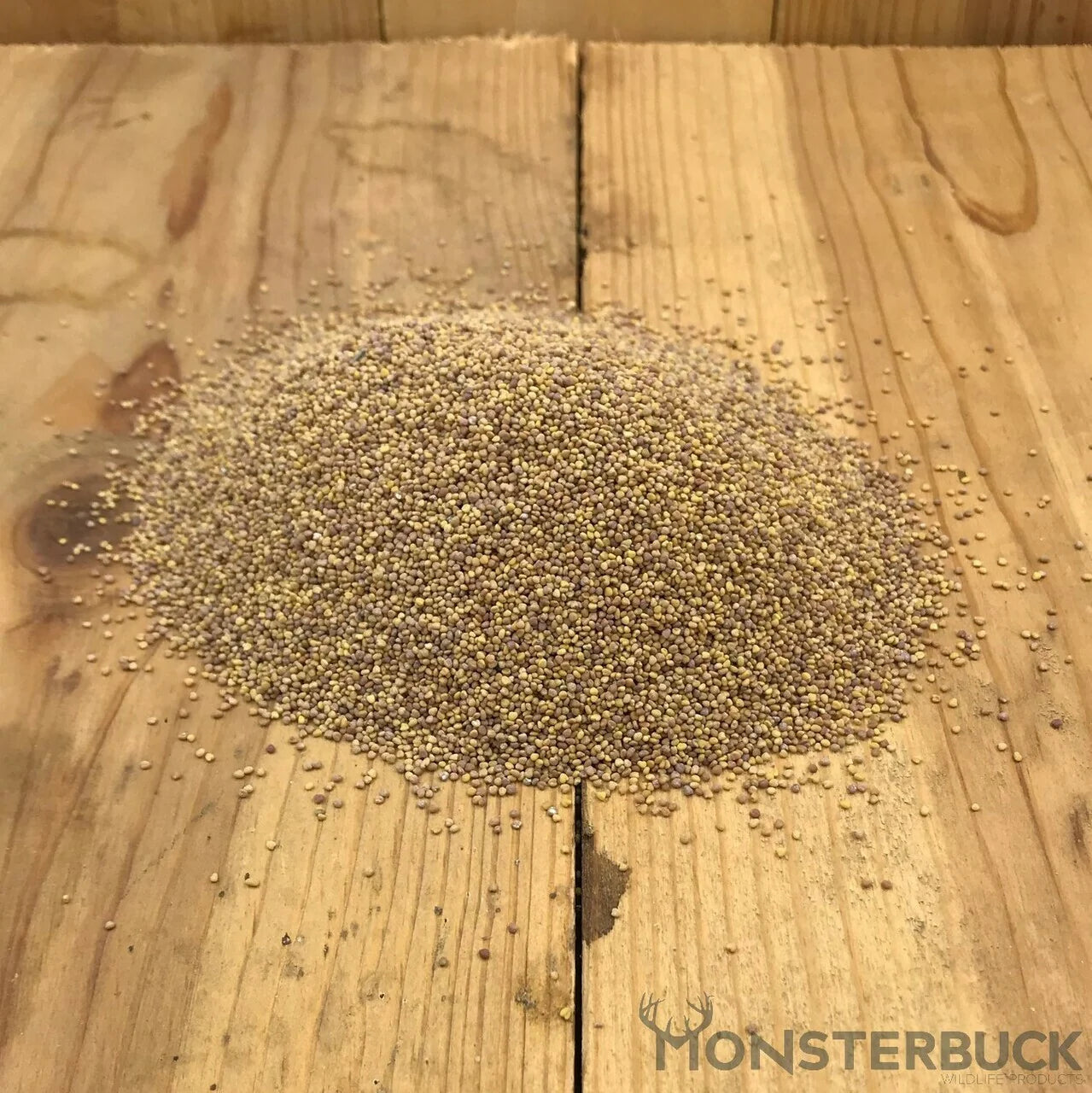 Ladino White Clover Food Plot Seed