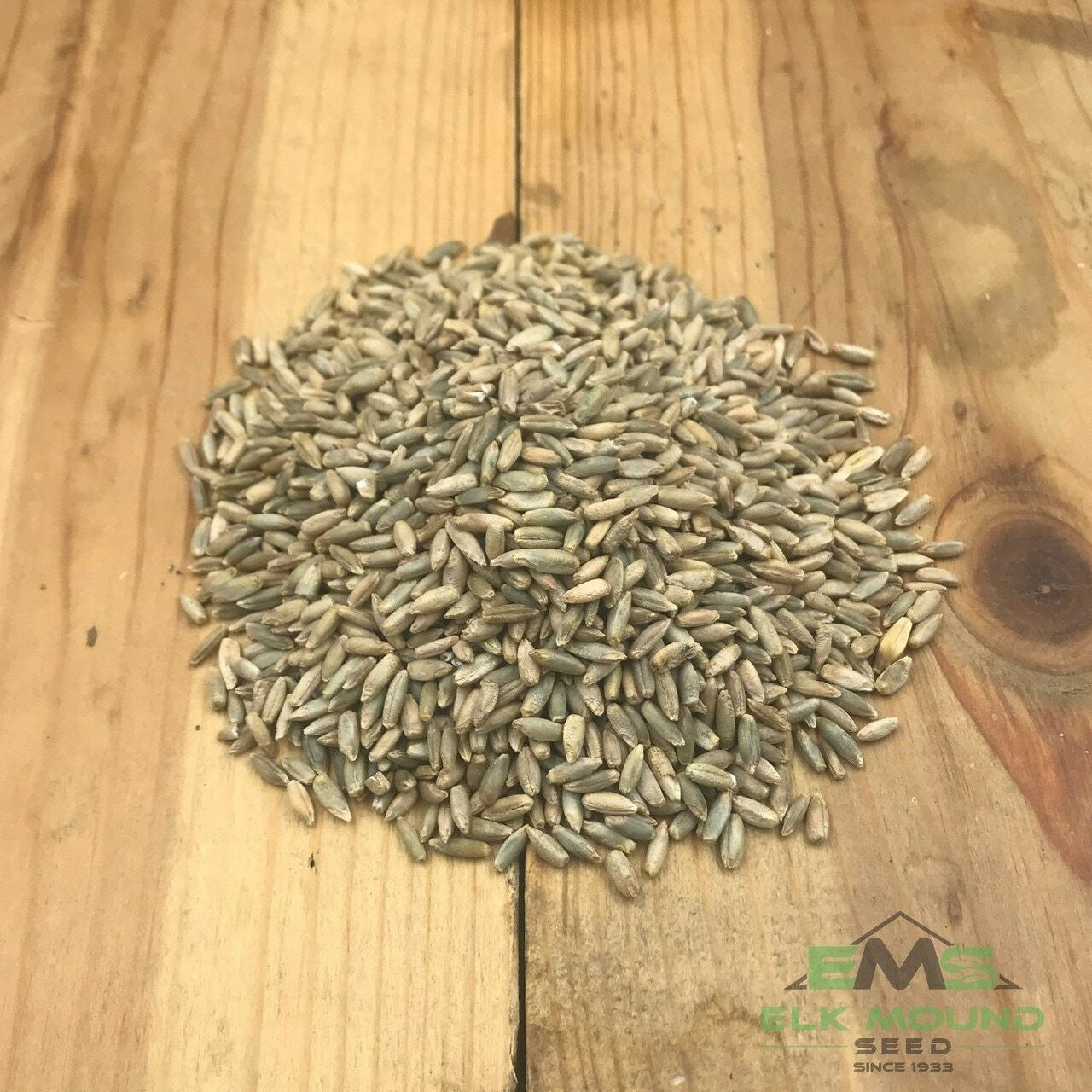 rye seeds for planting Winter Rye Food Plot Seed 50 lb