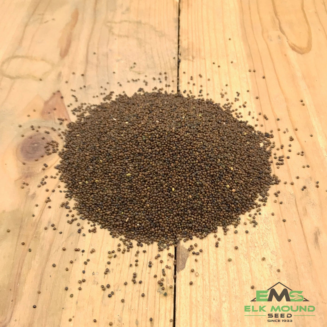 Birdsfoot Trefoil Seed