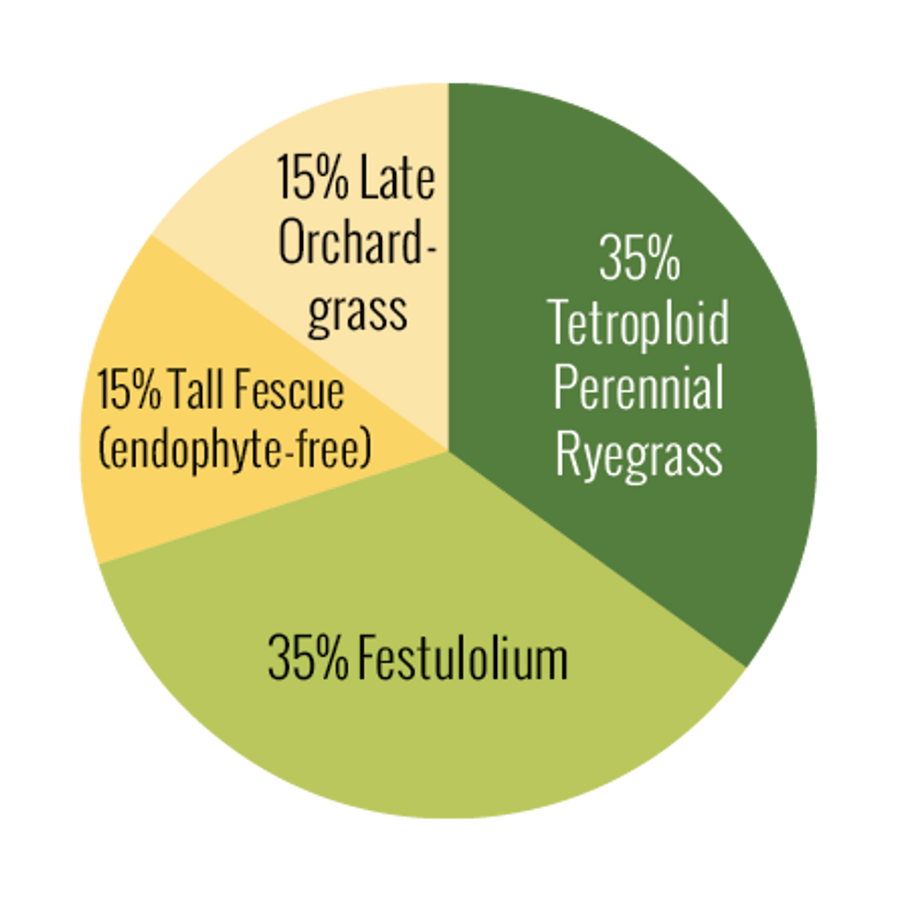 Stockmaster Forage Grass Mix