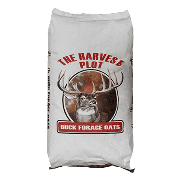 Buck Forage Oats Food Plot Seed