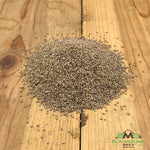 Excelsior Alfalfa Seed