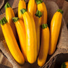 Golden Zucchini Squash Seed