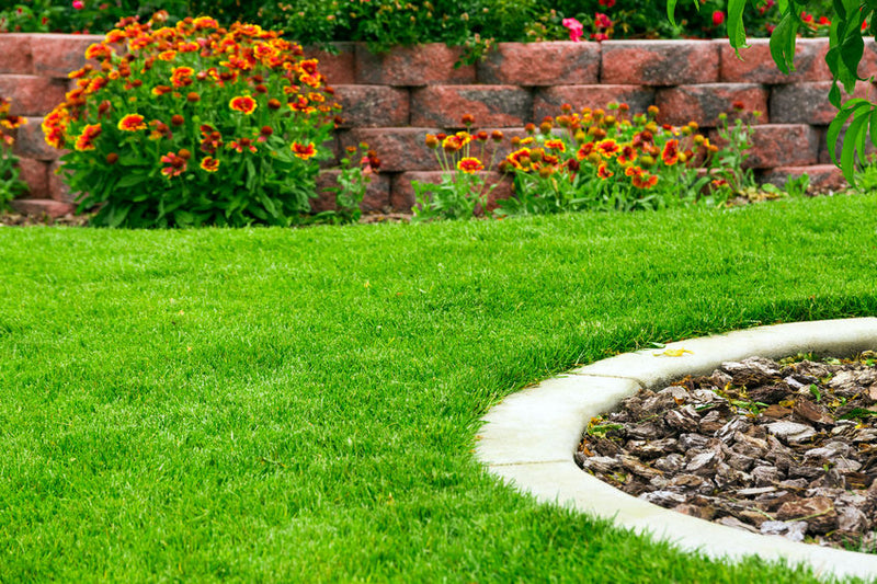 Prepare Your Lawn & Garden Starting in January