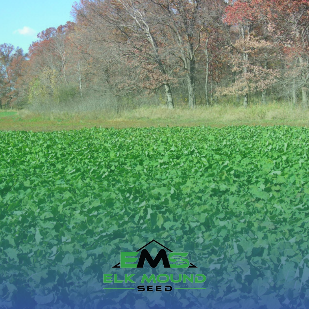 Food Plot Seed