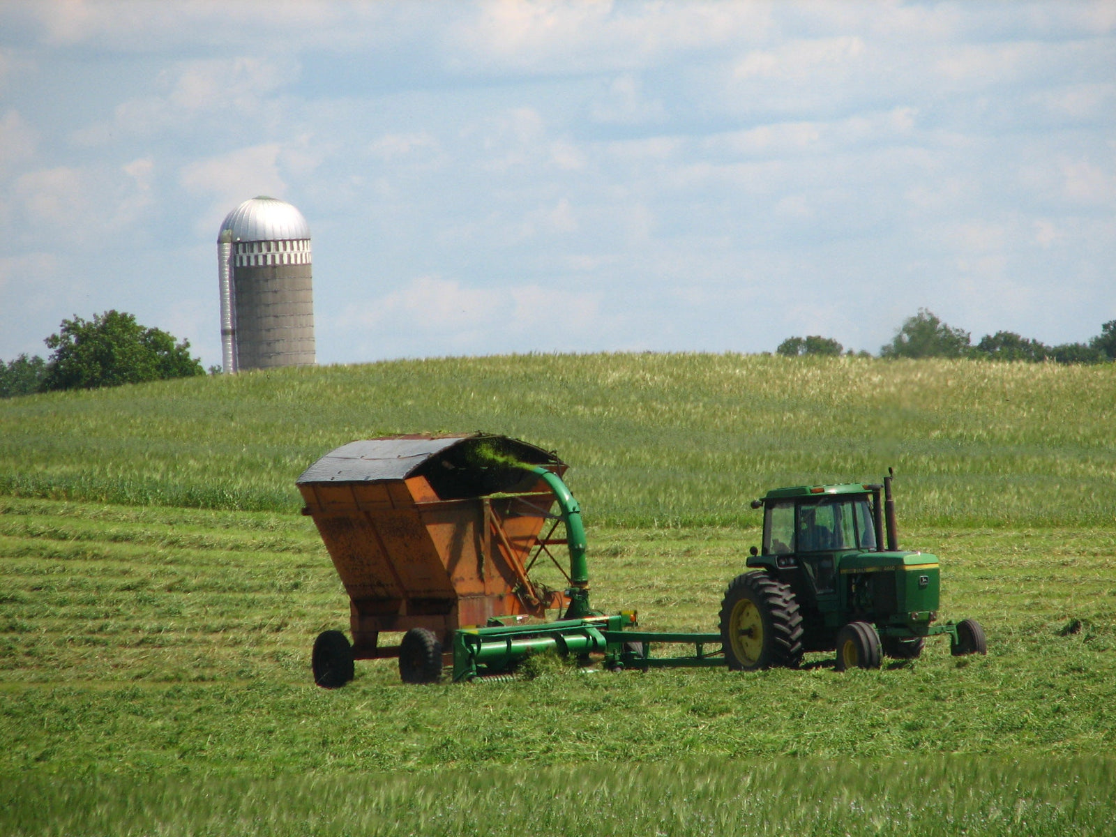Forage Grasses & Pasture Mixes