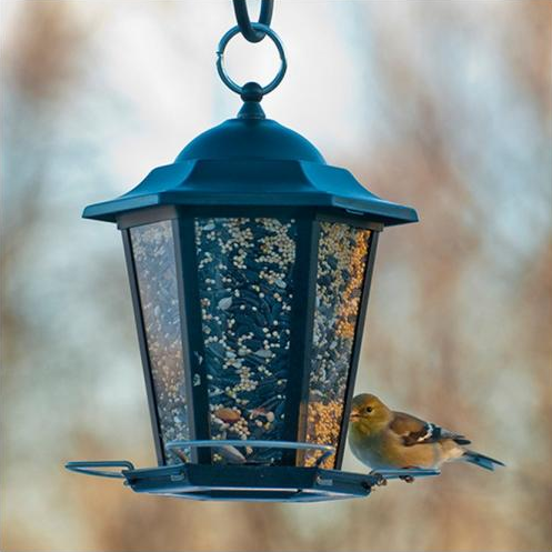 Premium Bird Seed Blends