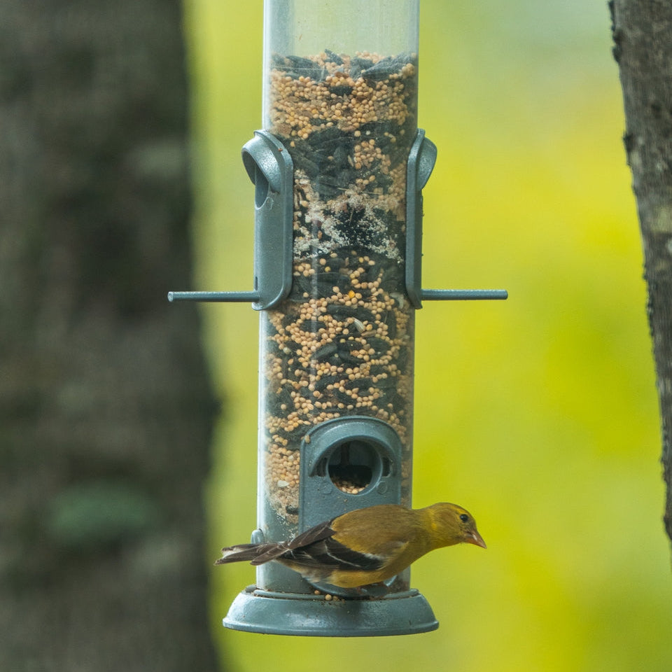 Bird Watching Accessories
