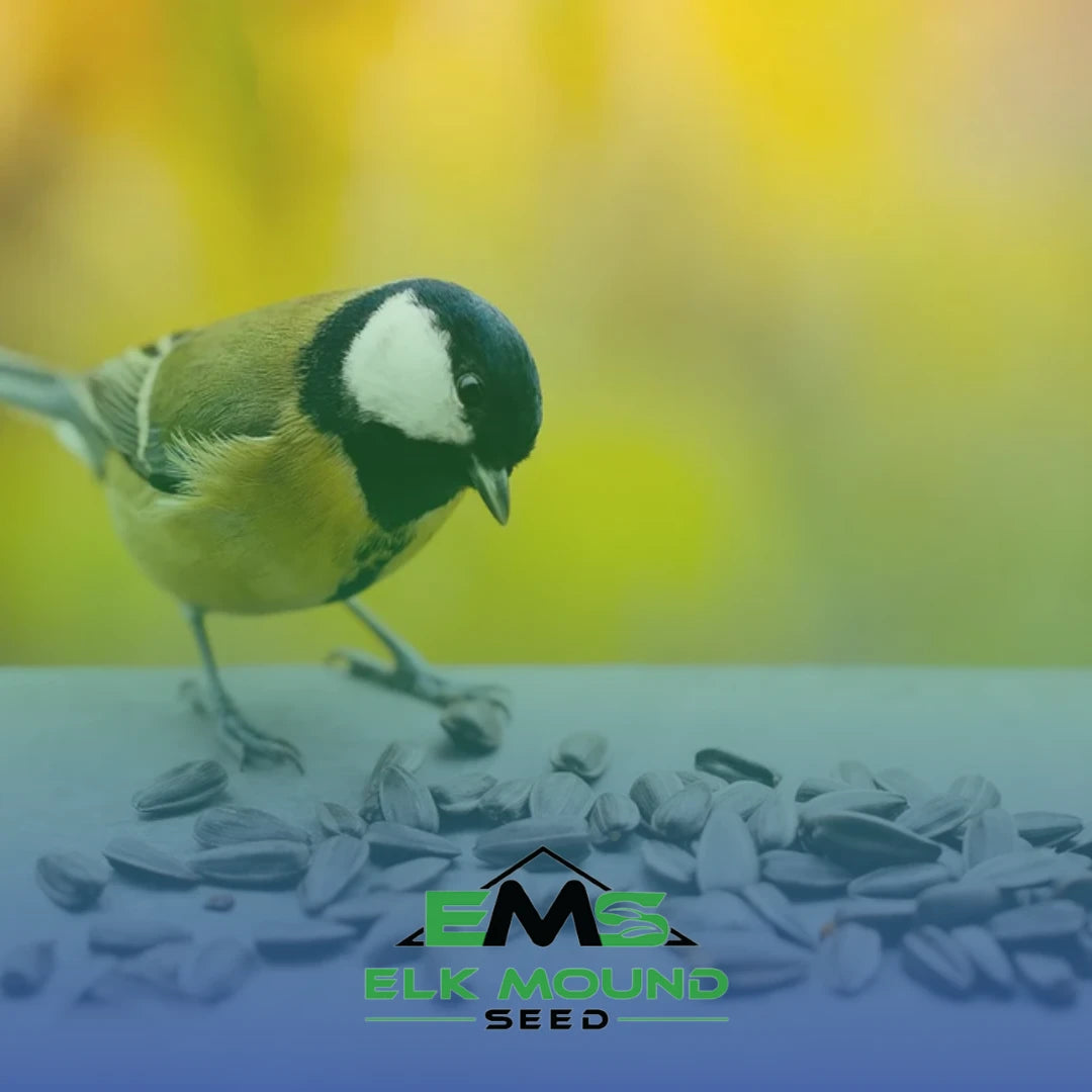 bird seed in a pile with a bird eating