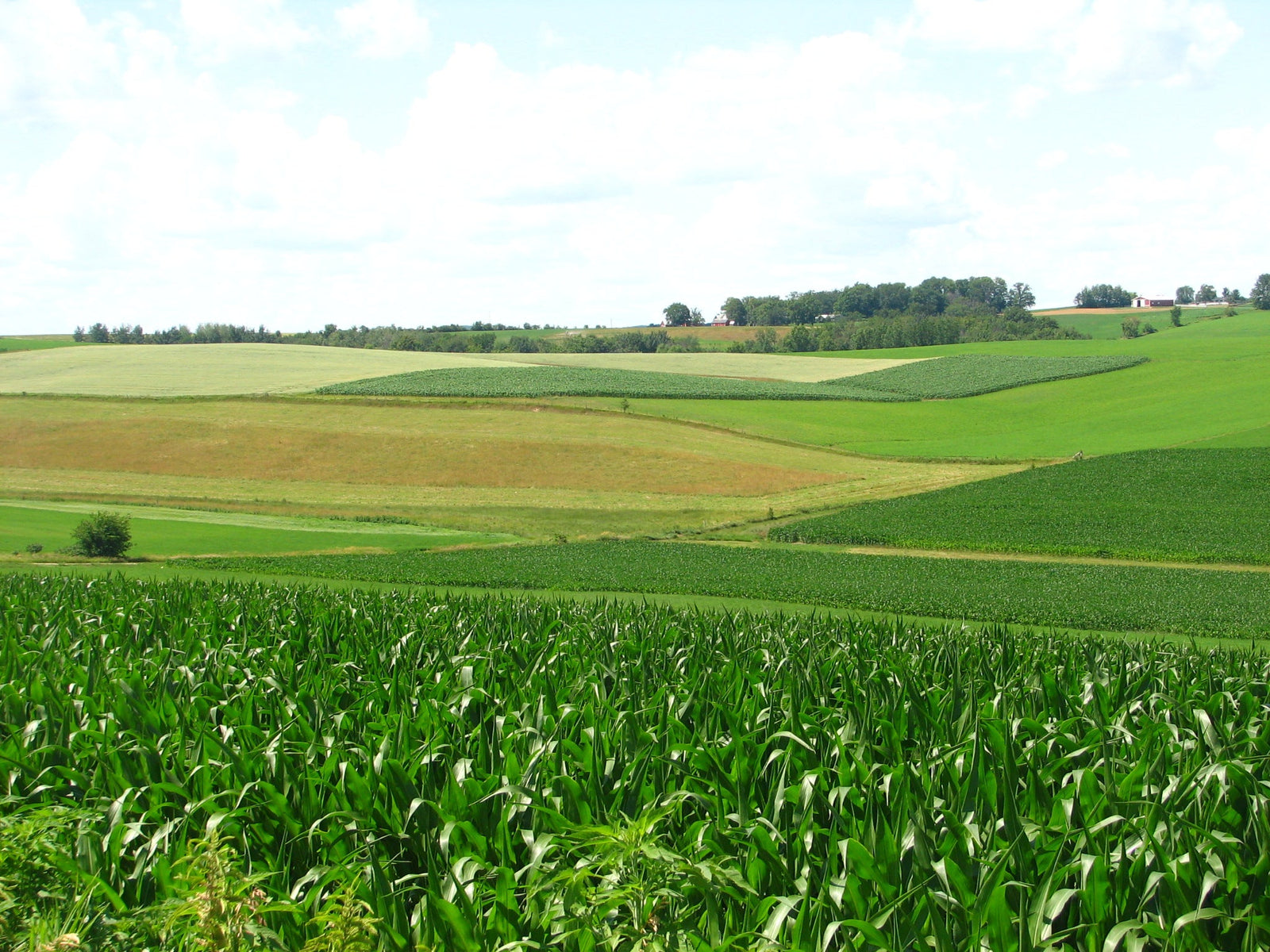 application rate for crossbow herbicide Crossbow Herbicide