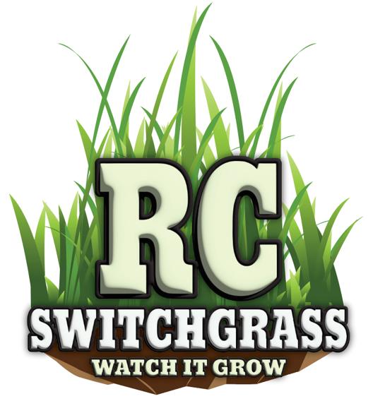 RC Sundance Switchgrass