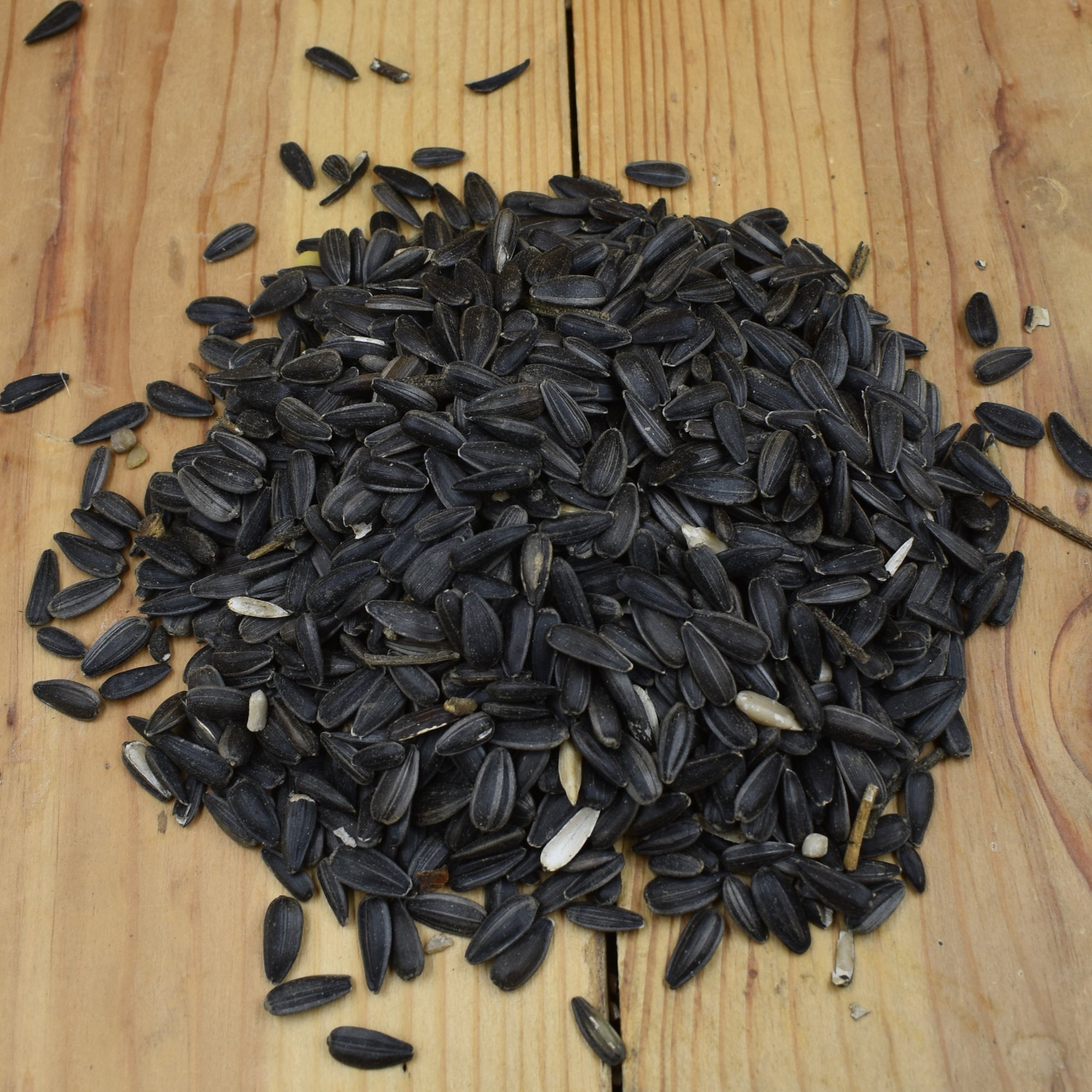Black Oil Sunflowers