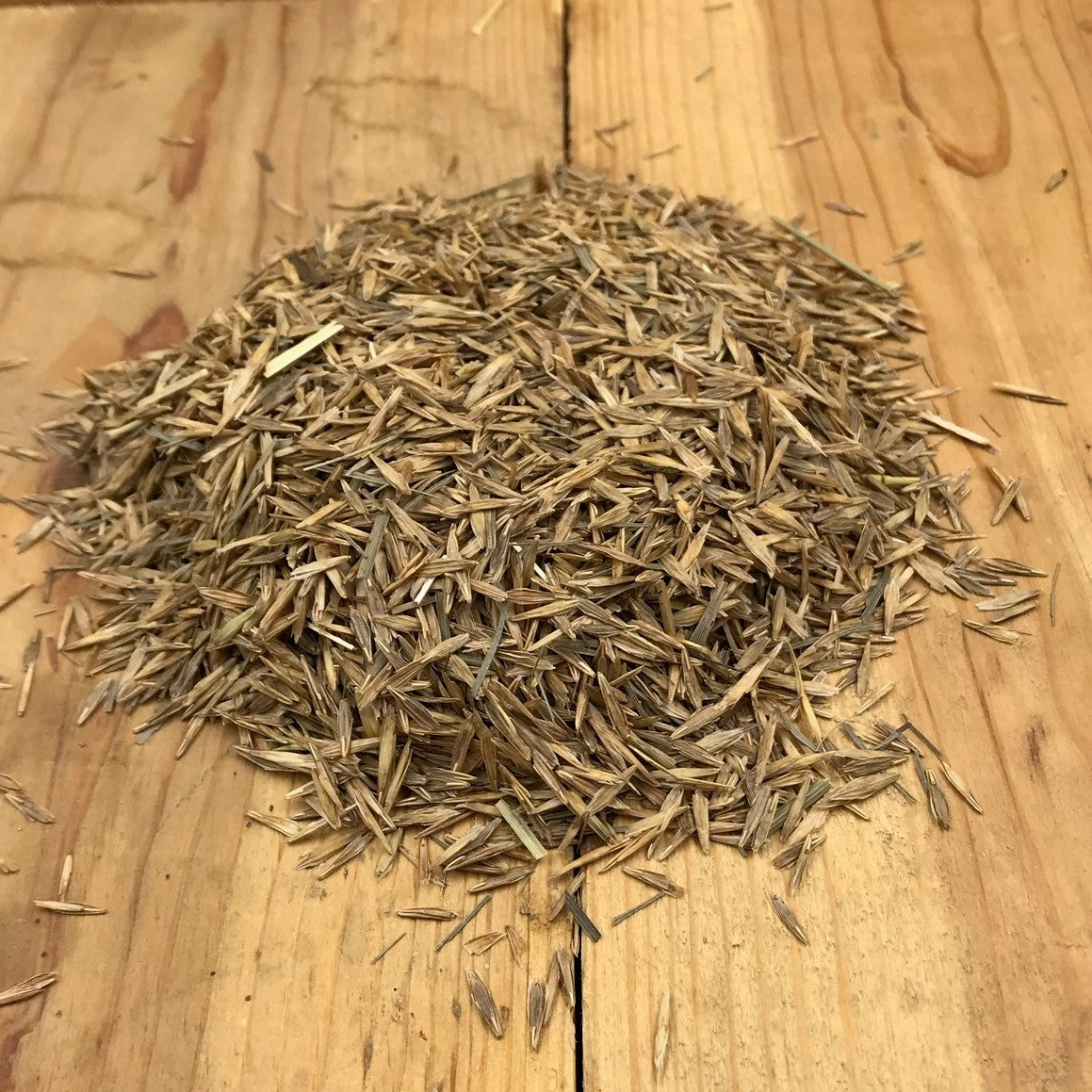 Meadow Bromegrass Seed