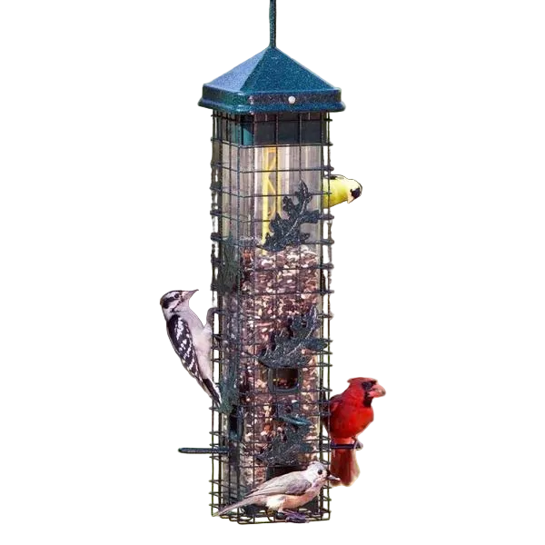 Squirrel Buster Seed Saver 200 - Brome