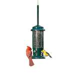 Brome Squirrel Buster Standard