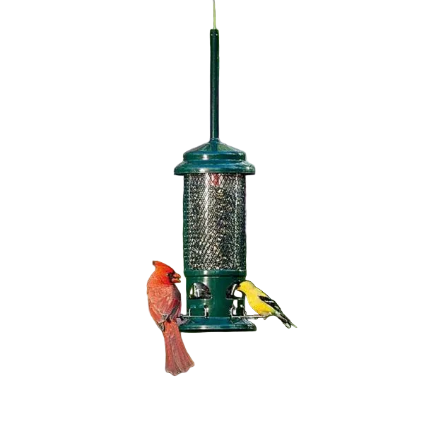 Brome Squirrel Buster Standard