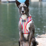 NEOFLEX SOFT HARNESS - SCOOBY-LARGE-RED MULTI STRIPED COLORS