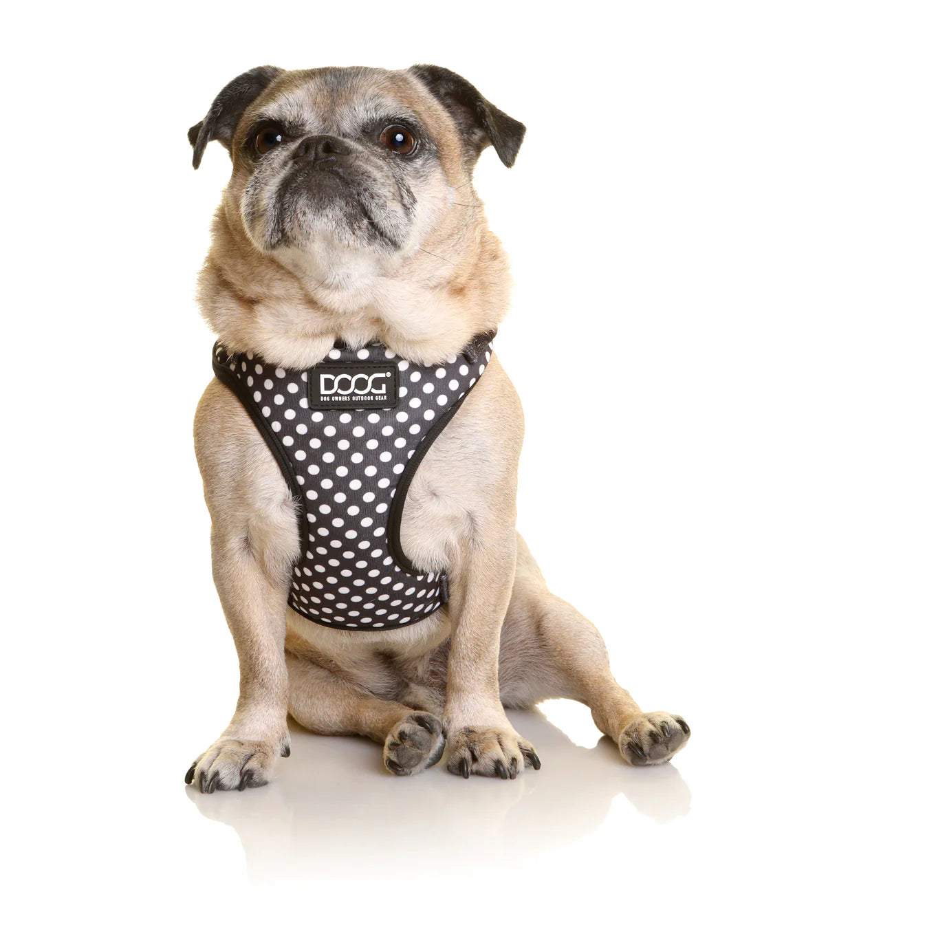 NEOFLEX SOFT HARNESS - PONGO-EXTRA LARGE-BLACK POKADOT