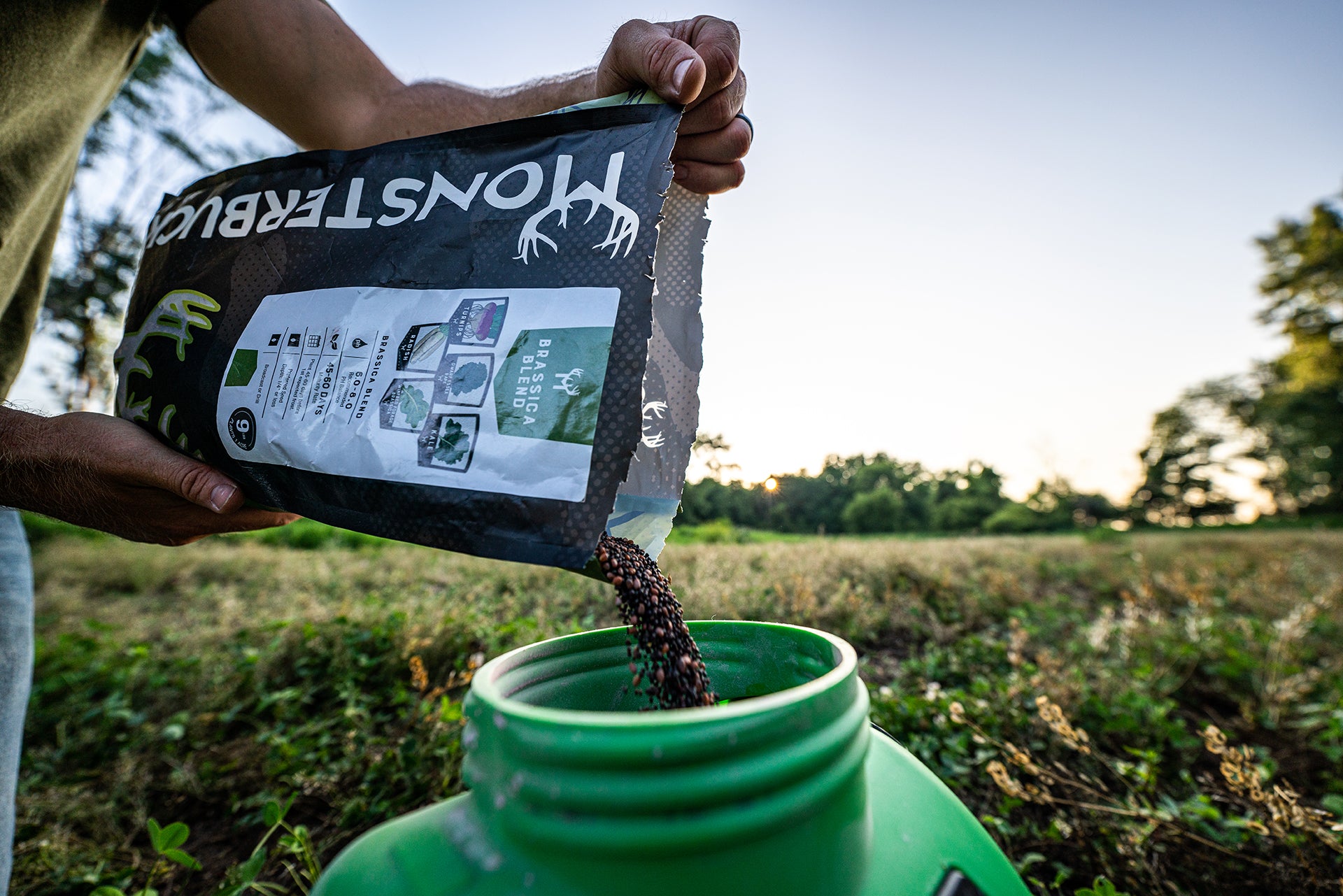 Brassica Food Plot Seed Mix