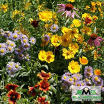 Bee Feed Seed Mixture