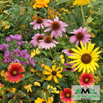 Bird Lover's Wildflower Seed Mixture