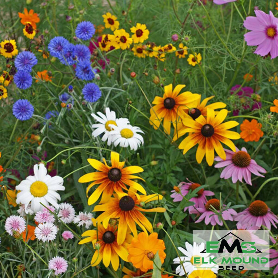 Cut Flower Wildflower Seed Mix