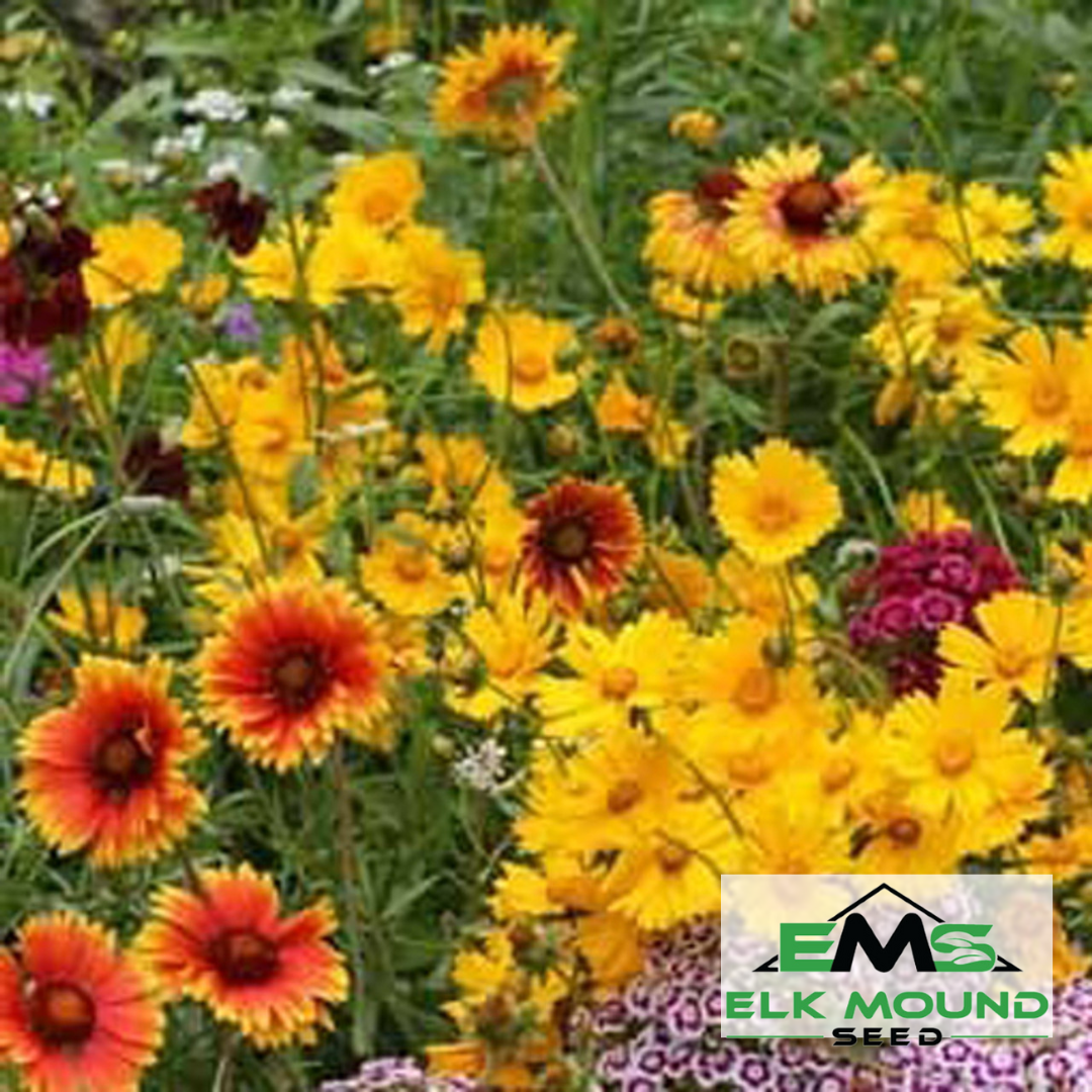 Knee Hi Wildflower Seed Mix