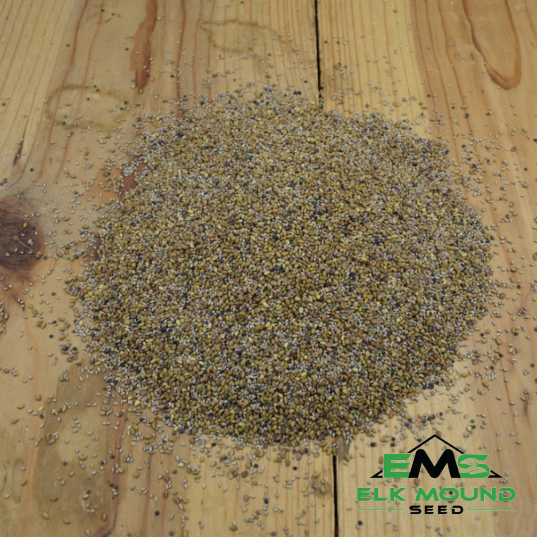 Legume Grass Forage Seed Mix
