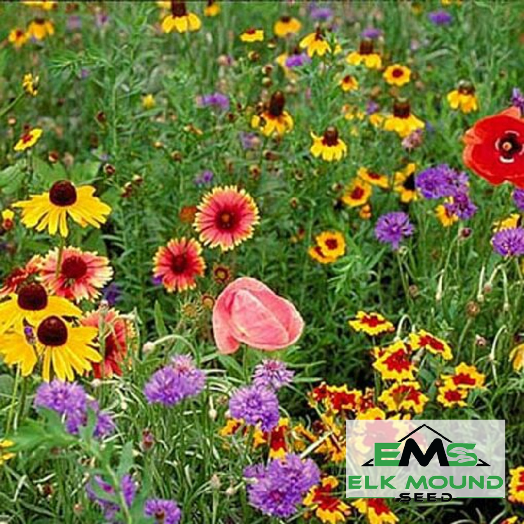 Midwest Wildflower Seed Mix