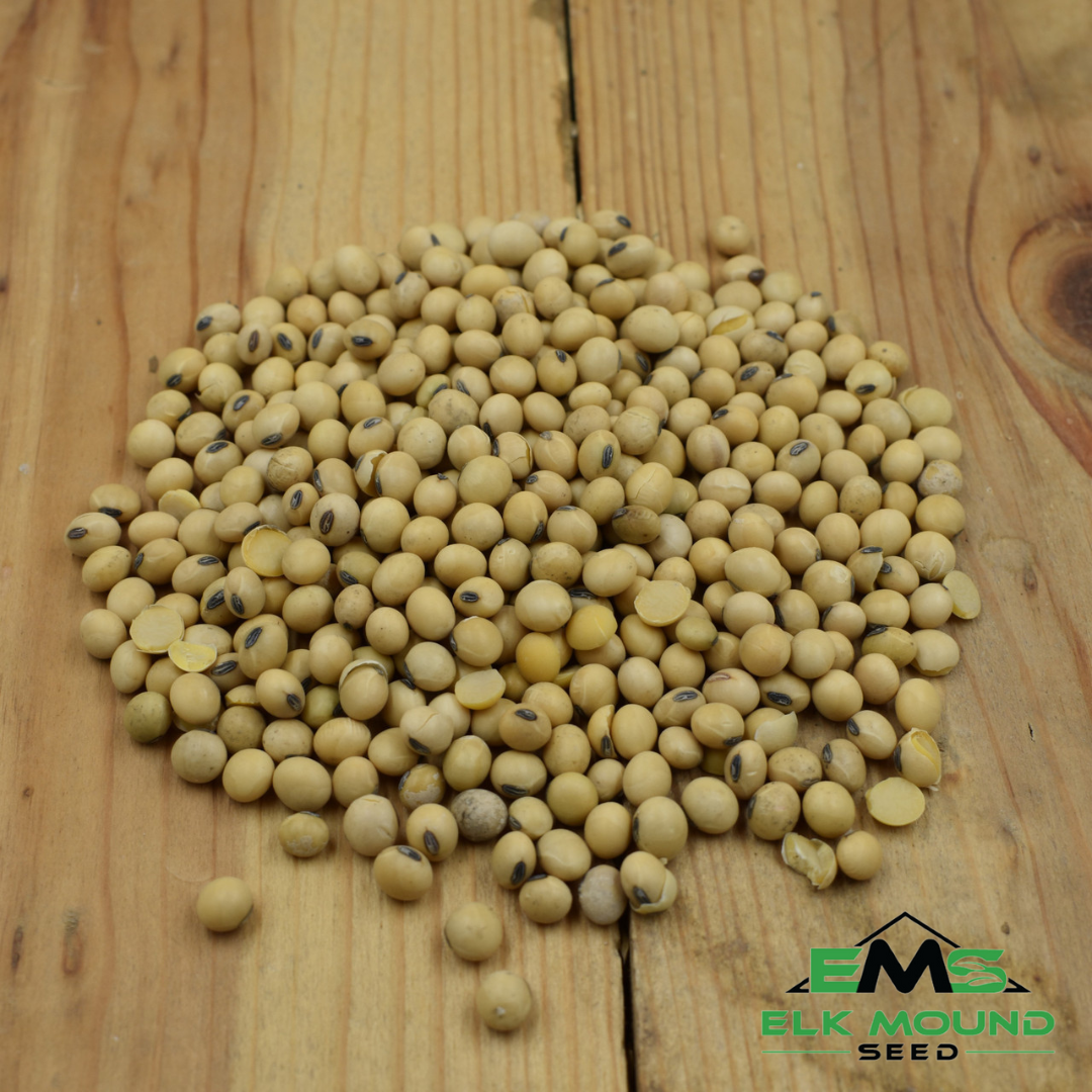 NG 690GT | 0.9 RM Soybeans