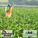 MonsterBuck Food Plot Soybeans | Roundup Ready