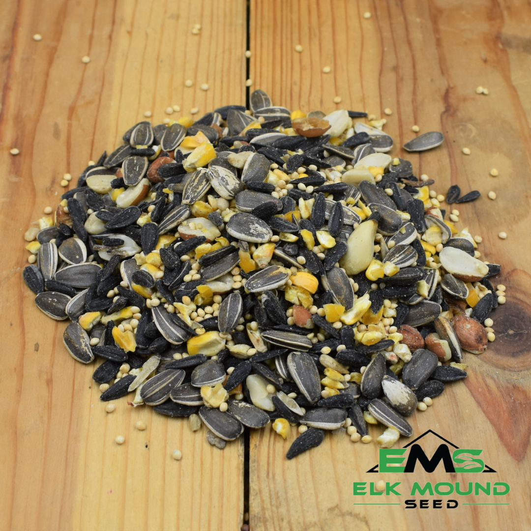 Buy Songbird Bird Food Mix | Elk Mound Seed