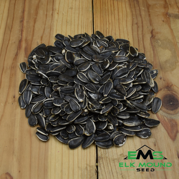 striped sunflower seeds for planting Striped Sunflower Seed, premium wild bird food, high-energy sunflower seed,  attracts cardinals blue jays woodpeckers and grosbeaks, Midwest bird feed,  large sunflower seed, year-round wild bird feeding – Elk Mound Seed